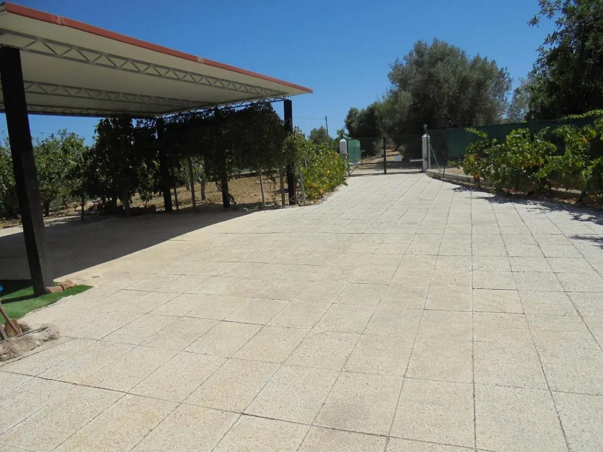 Silence Of The Birds Villa Olhao